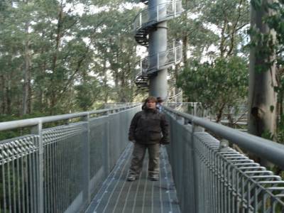 Otway Fly