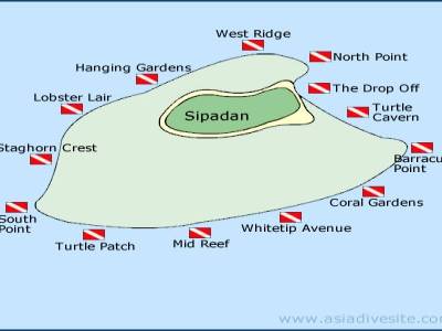 sites dive sipadan
