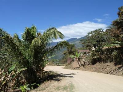 Yungas