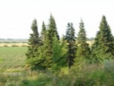 Paysage