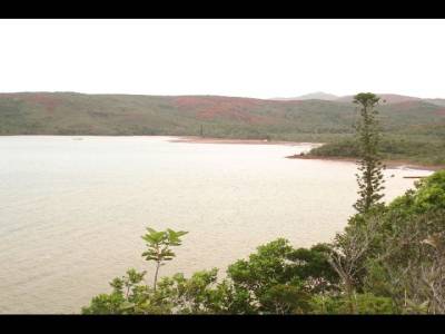 Tiamanga en baie de Prony