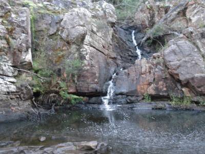 McKenzie Falls