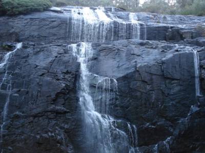McKenzie Falls