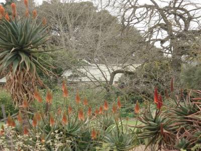 Adelaide. Jardin botanique