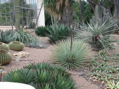 Adelaide. Jardin botanique