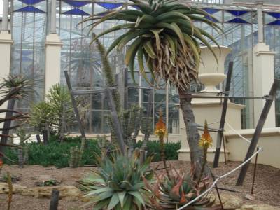 Adelaide. Jardin botanique