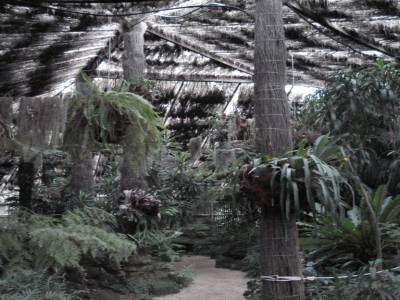 Adelaide. Jardin botanique