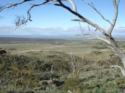 Rando dans les Flinder Ranges