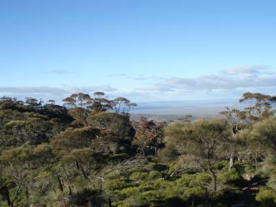 Rando dans les Flinder Ranges
