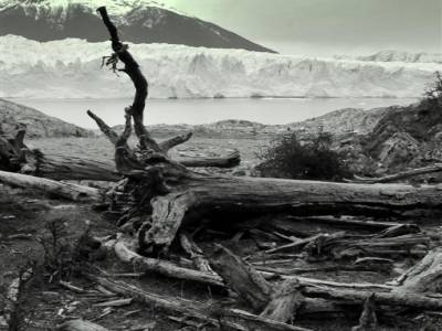 Perito Moreno