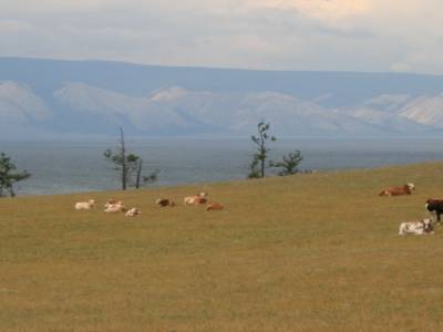 Ile d Olkhon