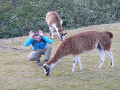 Deux ... trois Lama