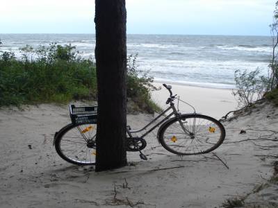 On n'est pas les seules à circuler à vélo !