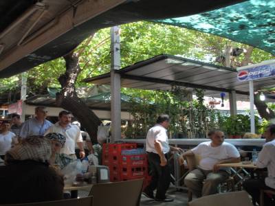 place aux fleurs dans le bazar