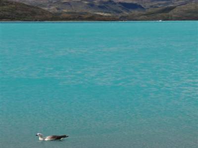 Torres del Paine
