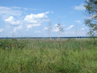 Sur les rives du lac Talty