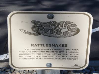 Beware the crotals