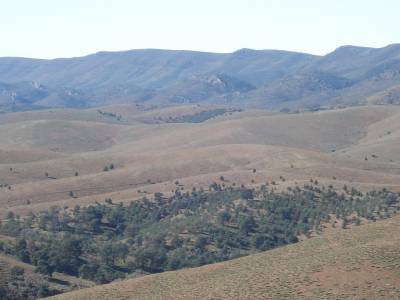 Wilpena Pound