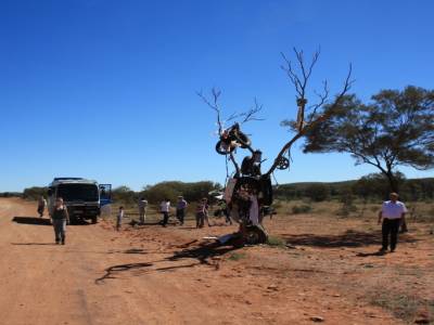 Art australien !