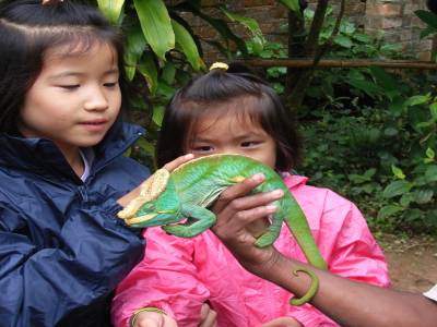 Cameleon
