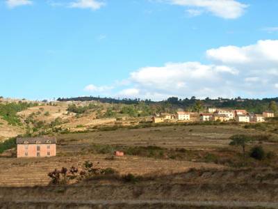 paysage malgache