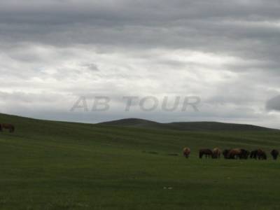 Vallee de l Orkhon