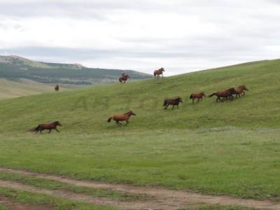 Vallee de l Orkhon