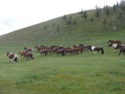 Vallee de l Orkhon