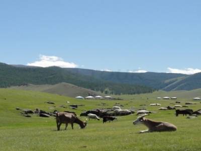 Vallee de l Orkhon