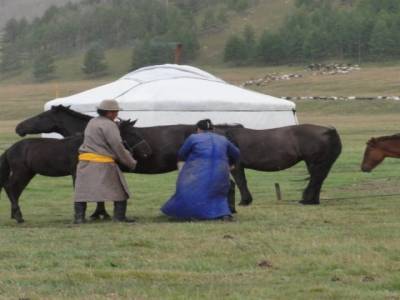 Vallee de l Orkhon
