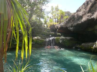 piscine naturelle
