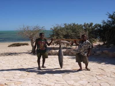 un beau thon jsute pêché