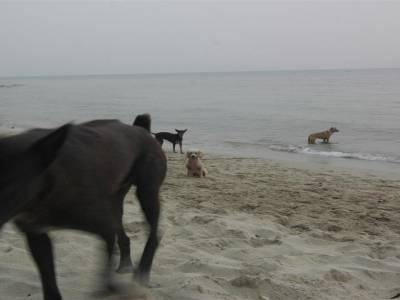 Ko Chang