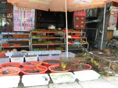 etalage des resto ou tu choisis ton poisson ou ton poulet! produits frais garantis!