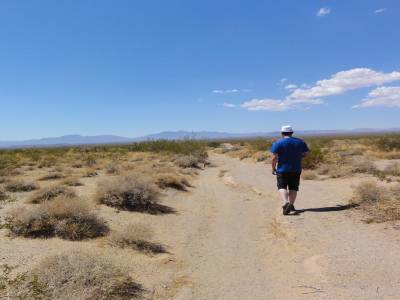 Le désert du Mojave