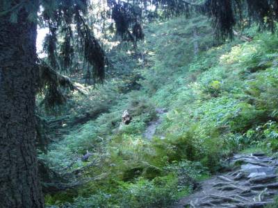 Chouette sentier...un peu glissant !