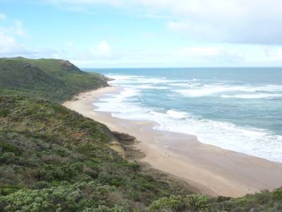 La "wakon" de great ocean road
