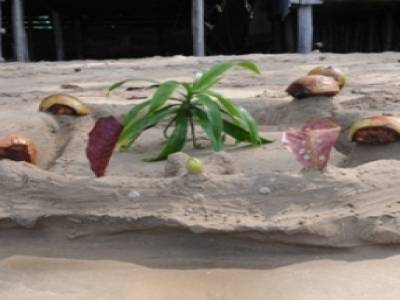 Parc naturel de Ream
