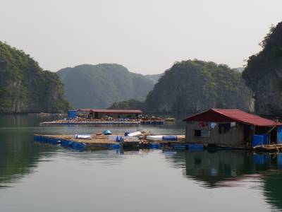 Journee bateau dans la baie de LAN HA