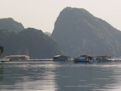 Journee bateau dans la baie de LAN HA