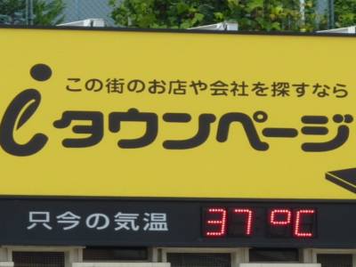 Tokyo Chaud