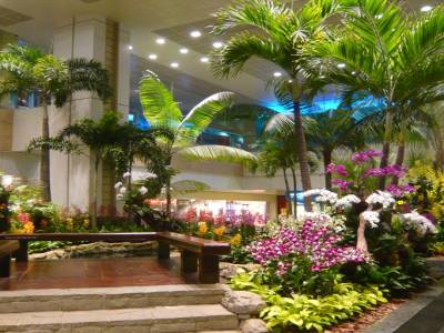 Jardin intérieur