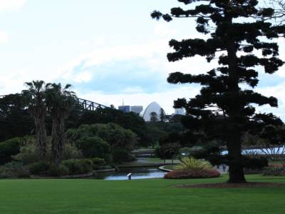 Royal Botanic Gardens