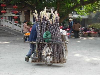 YANGSHUO