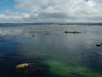 Baie de monterey