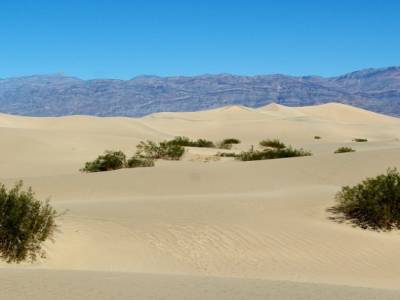 Dunes sable