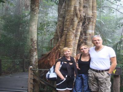 Forêt tropicale