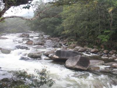 Mossman Gorge