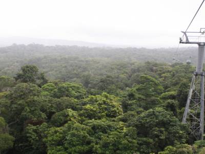 Skyrail au dessus de la forêt