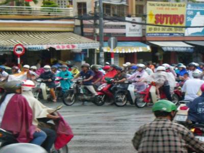 la fourmiliere de scoots